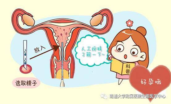 孕期第一次产检