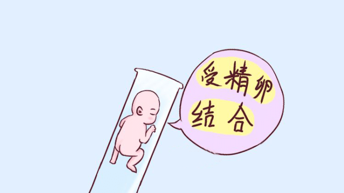 移植着床