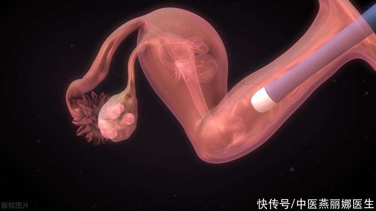 移植胚胎着床