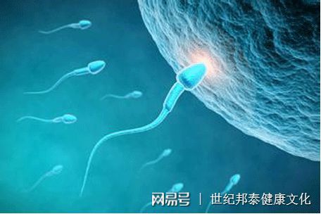 移植着床成功