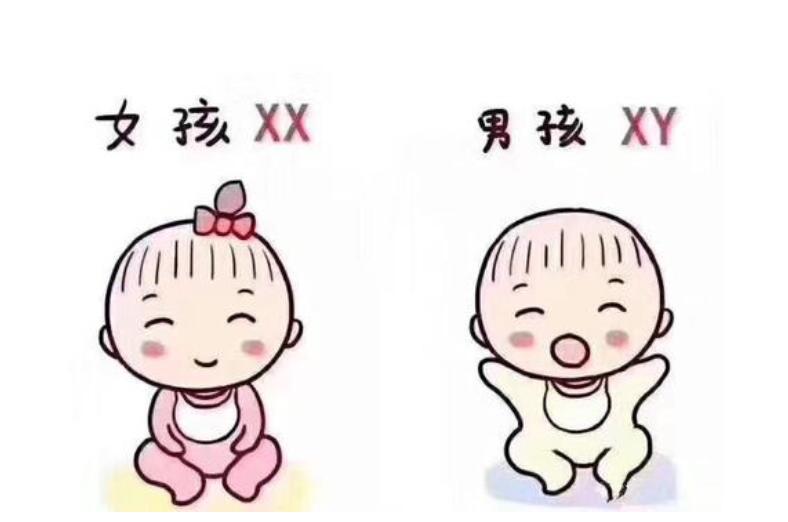 章泽天