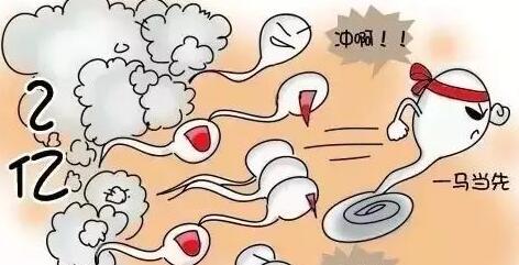 秀儿早早孕试纸