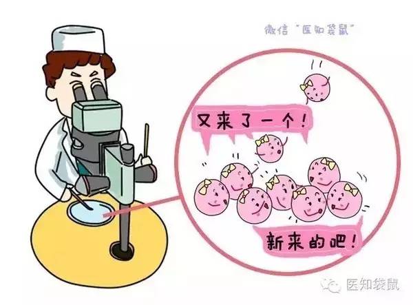 怀孕初期检查