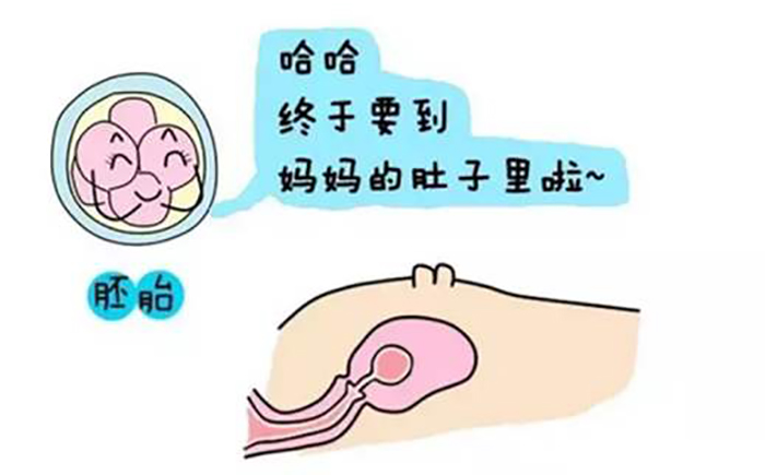 紧急避孕药