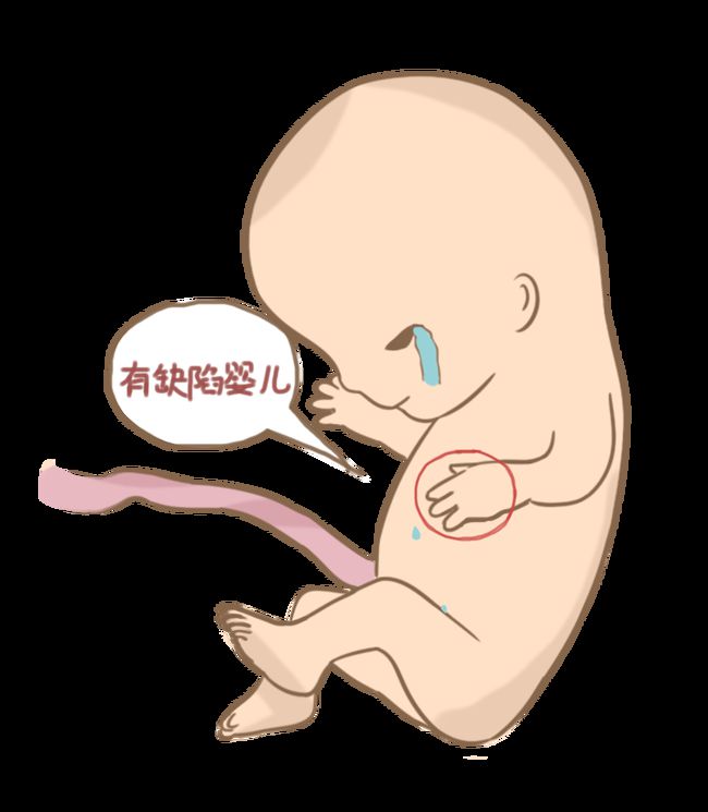 移植后着床反应