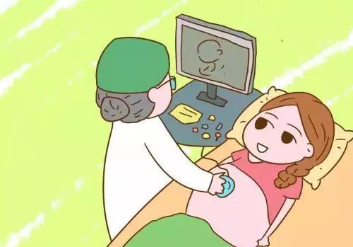 移植囊胚