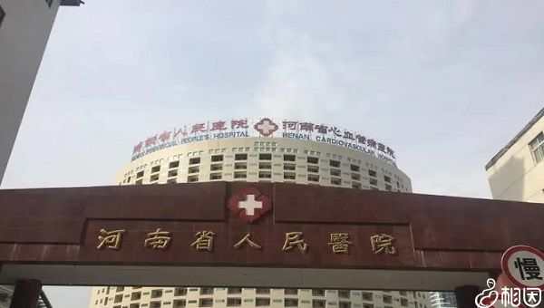 胚胎移植