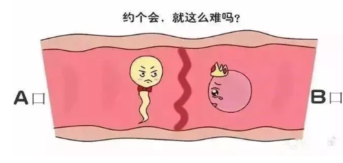 早孕检测
