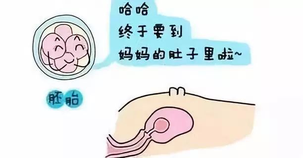 移植后着床