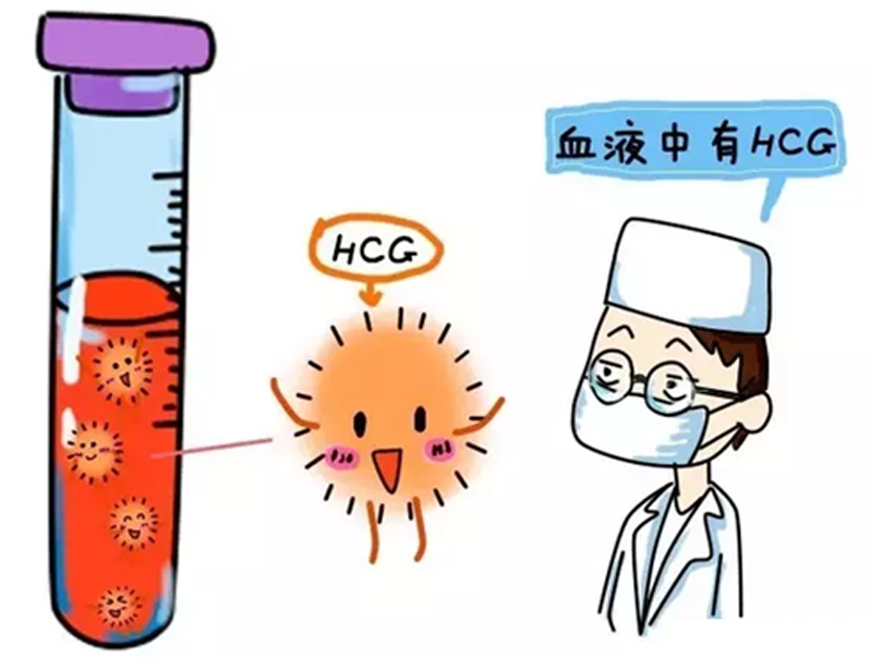 移植算预产期计算