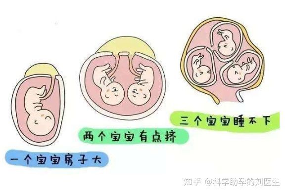 移植手术