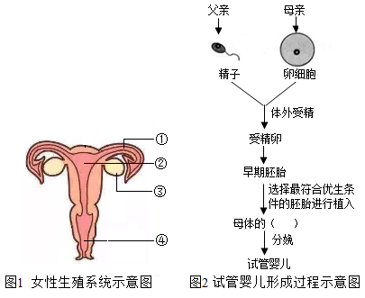 婴儿空调使用