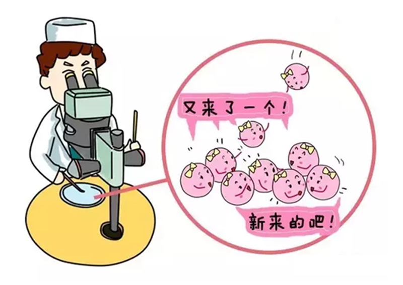 移植着床