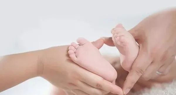 移植囊胚