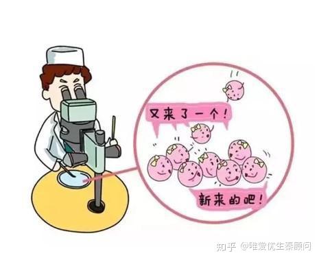 女性经期