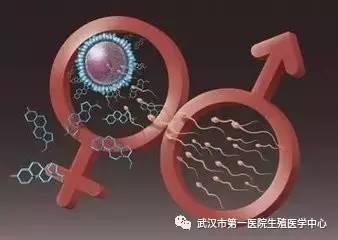 经期