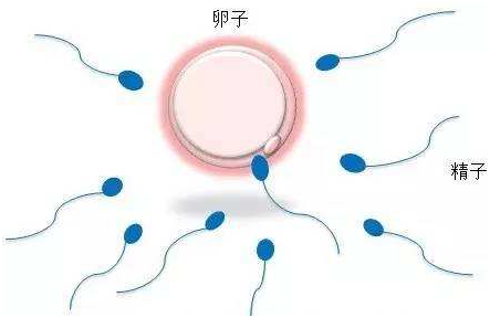 经期