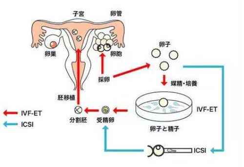 经期有血块