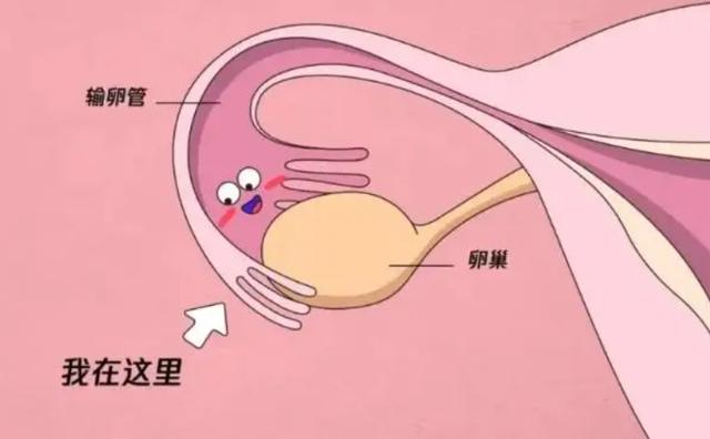 生理期