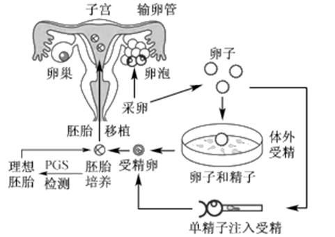 教育孩子