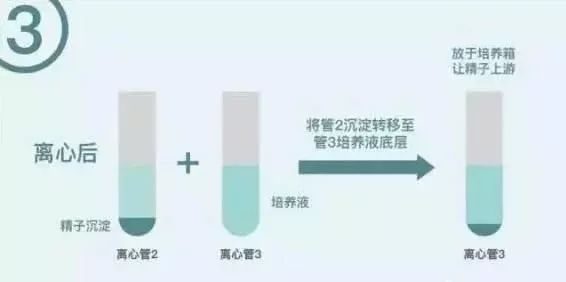 经期血块多