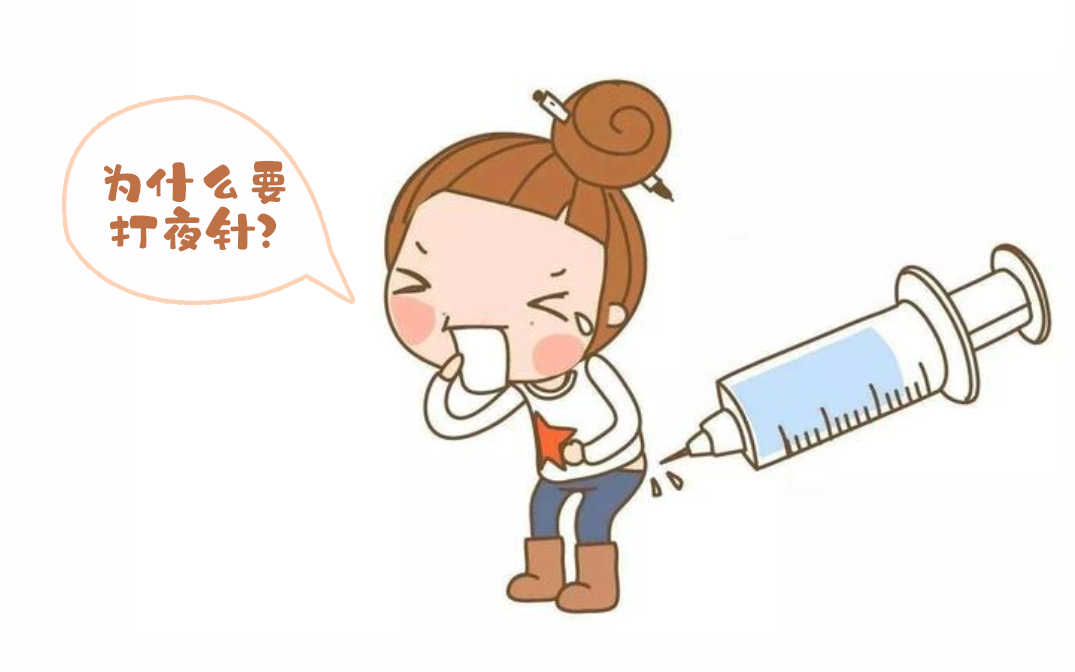 女性生理周期
