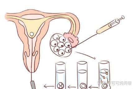 经期最后一天同房