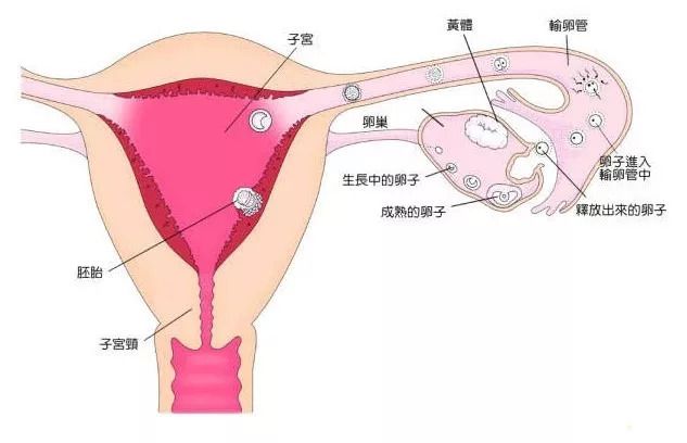 月经量过多
