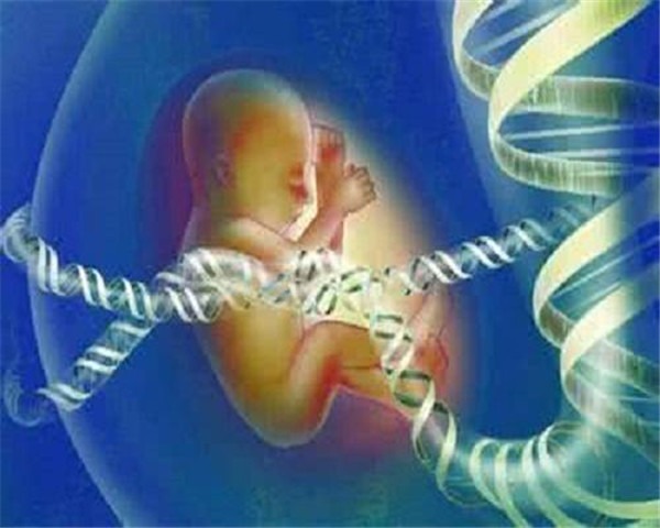 月经期间怀孕