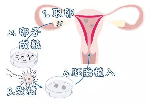 珠海