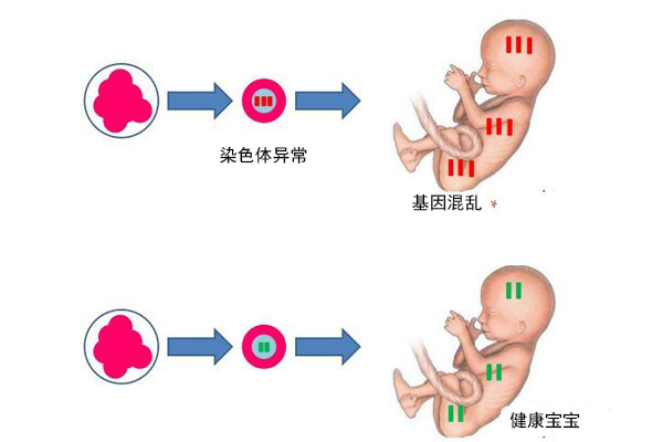 珠海第三代试管婴儿
